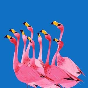 Meet your Posher, Pat